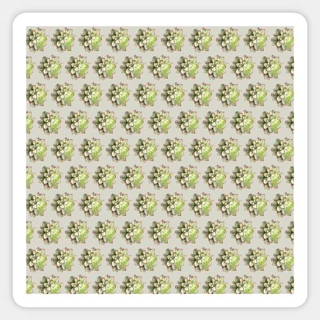 Echeveria Pattern Sticker by crumpetsandcrabsticks